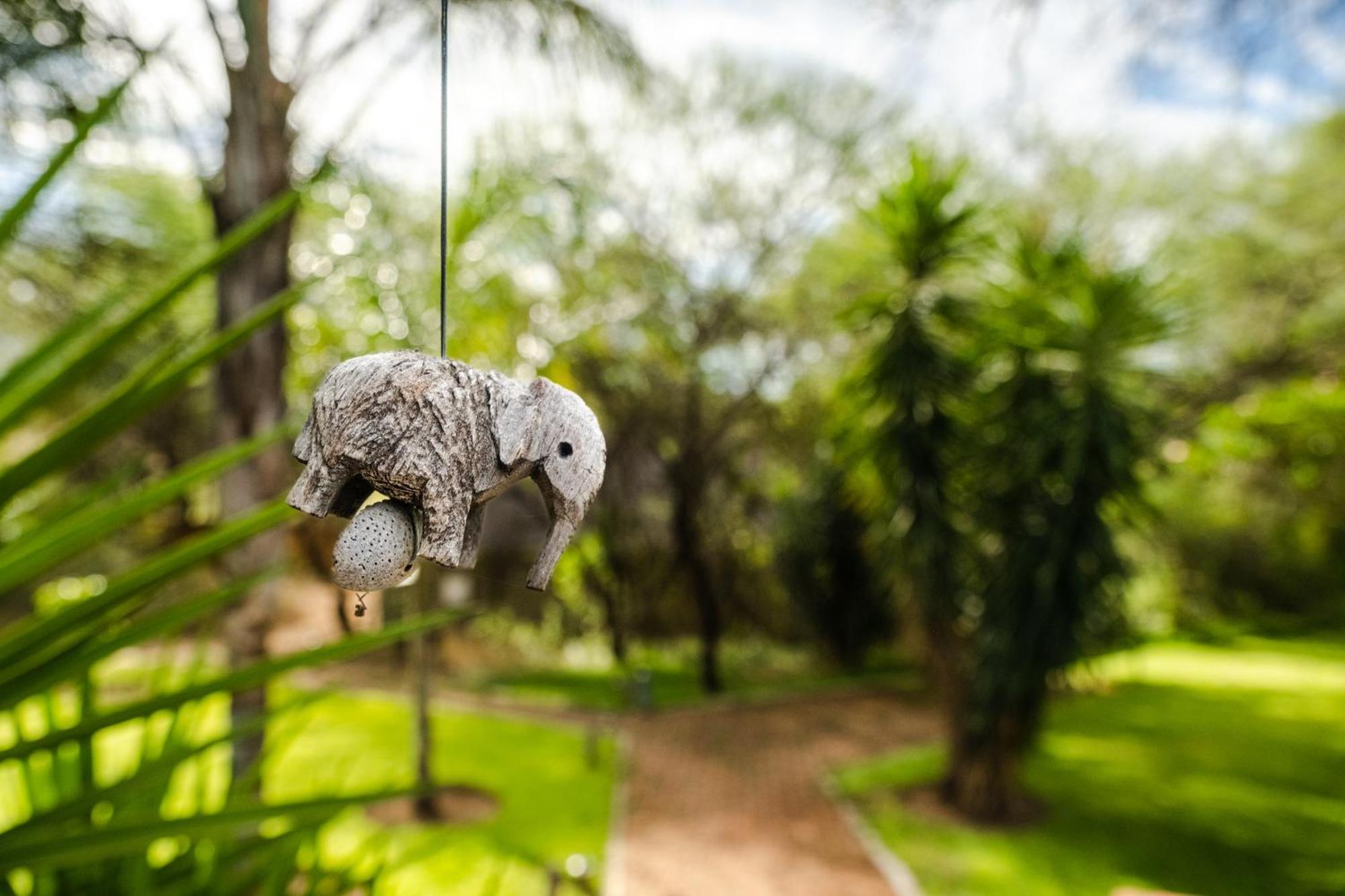 Taranga Safari Lodge Rundu Eksteriør billede